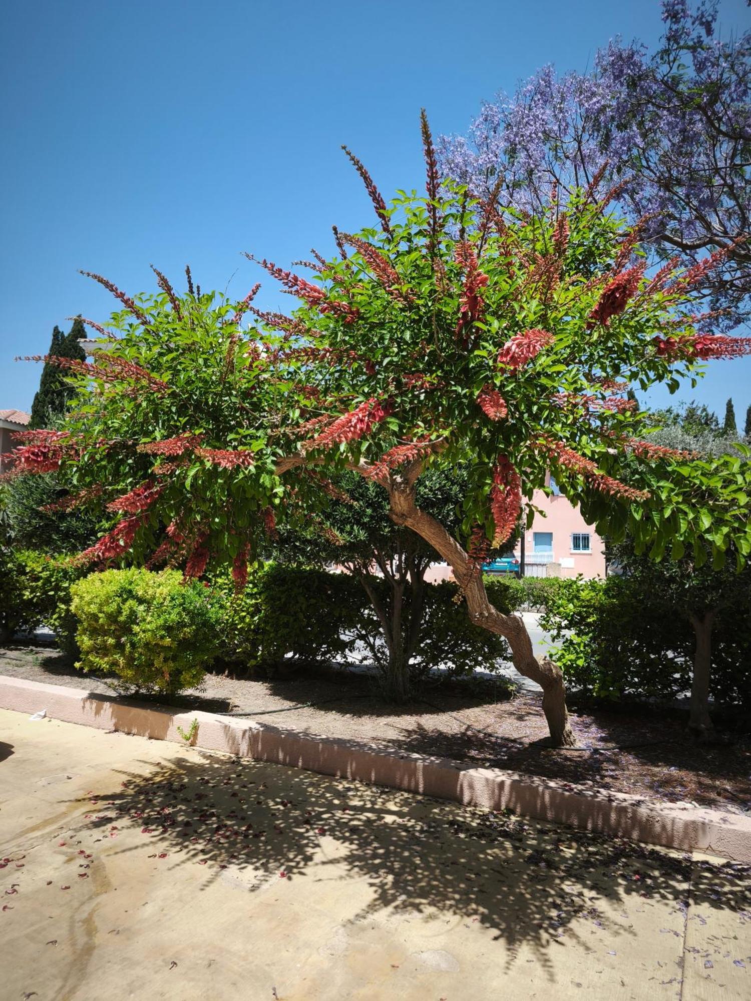 Villa Eden Gardens Paphos Esterno foto